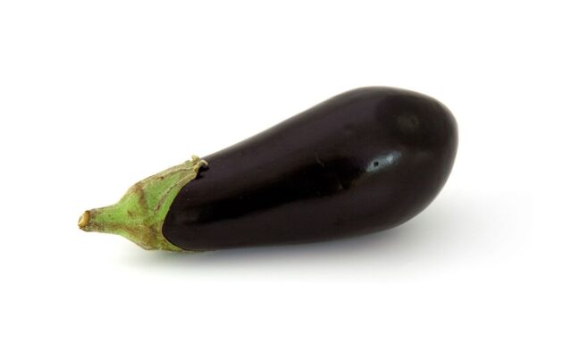 Aubergine noire bio