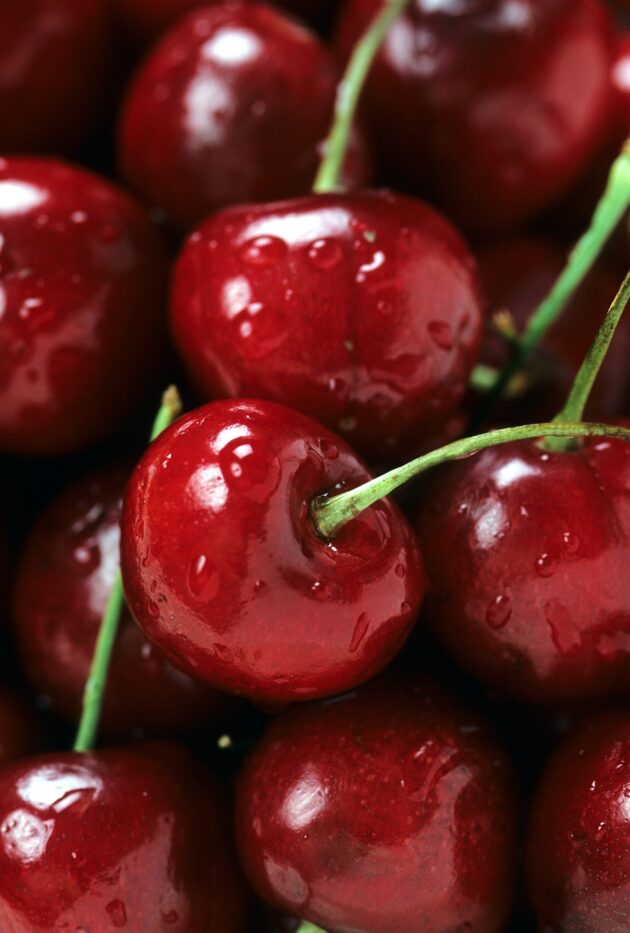 vue serrée sur des cerises bien rouges dont la queue est encore attachée