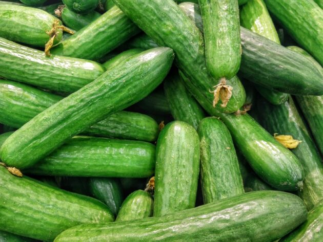 des concombres droits en vrac, certains avec leur fleur