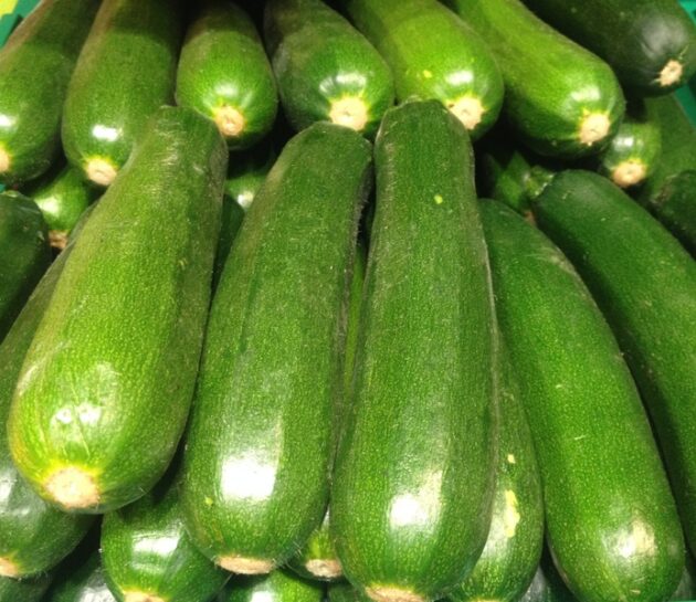 des courgettes vertes calibrées les unes sur les autres