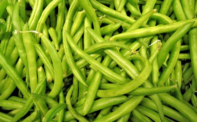 des haricots verts en vrac, couleur très saturée