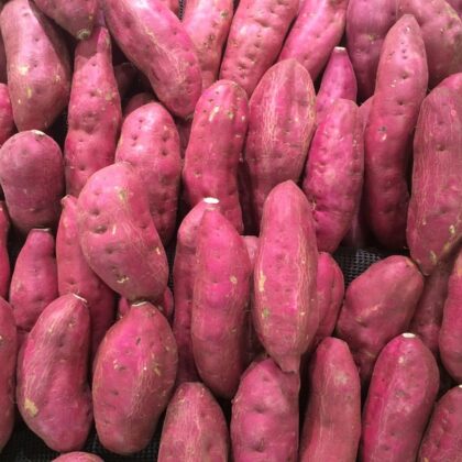 patates douces bien roses rangées les unes sur les autres