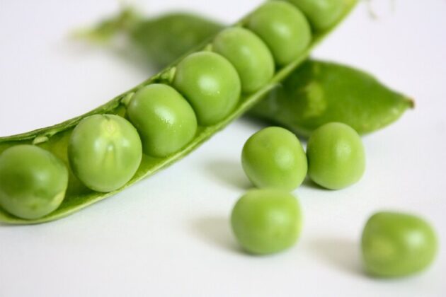 deux gousses de petit pois ouvertes qui laissent les pois brillants apparaître