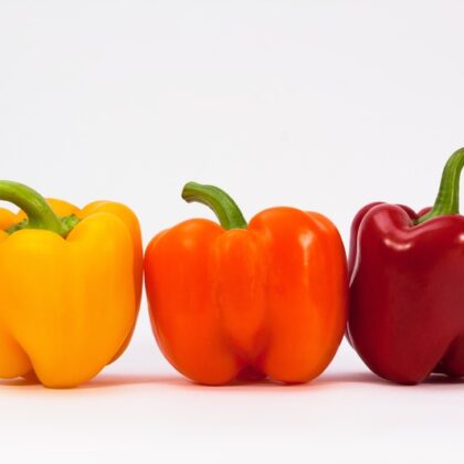 poivrons jaunes orange et rouges posés sur fond blanc