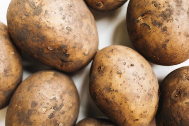 pommes de terres encore terreuse avec peau très fine