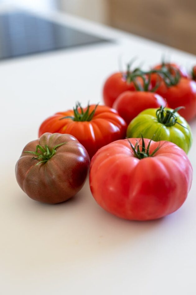 tomates de variétés anciennes, cotelées, vertes, cœur de boeuf