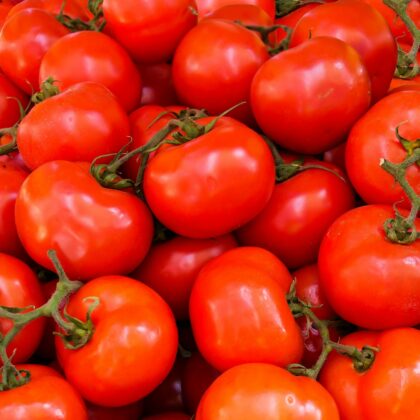 tomates rouges en vue serrée, quelques une en grappes