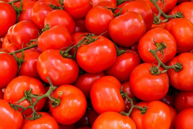 tomates rouges en vue serrée, quelques une en grappes