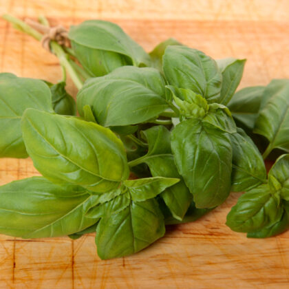 un bouquet de basilic frais sur une planche à découper